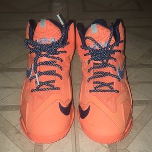 Lebron James shoe